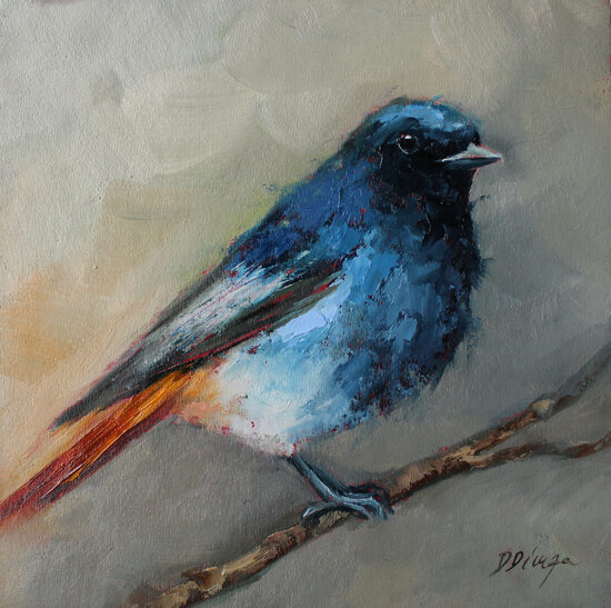 Black Redstart bird oil original painting on cardboard Texture Art by Daiga Dimza Wall art fine gift for her Miniature artwork