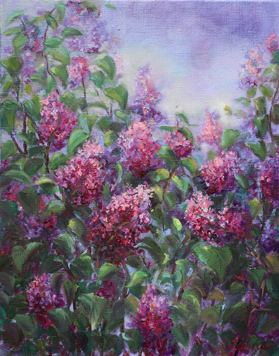 Lilacs Blooming, Oil Painting on Canvas, 50 x 40 cm