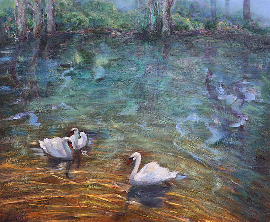 Swans in a Lake, Oil Painting on Canvas, 50 x 60 cm