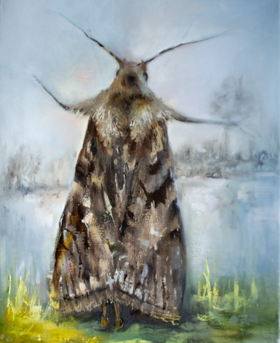 Moth Bandmaster, Oil Painting on Canvas, 50 x 40 cm