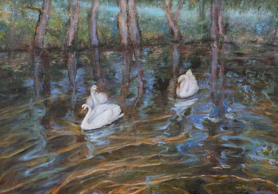 Swans in a Pond, Oil Painting on Canvas, 70 x 100 cm