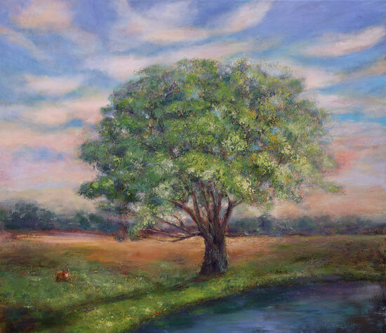 Rural Sunset and a Tree, Oil Painting on Canvas, 70 x 80cm