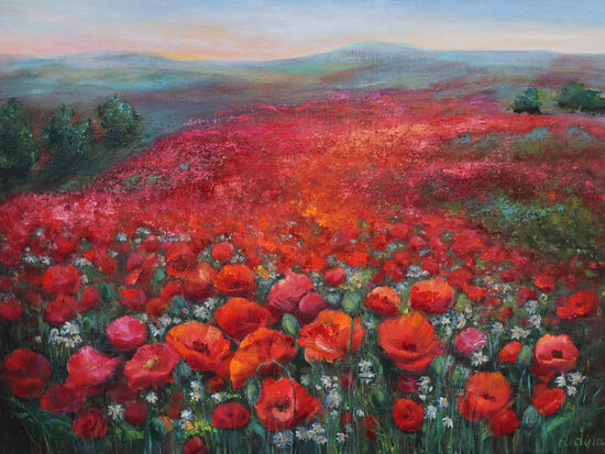 Poppy Field ,Oil Painting on Canvas, 60 x 80 cm