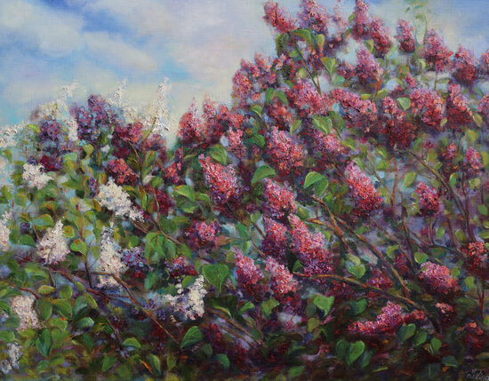 Colorful Lilacs, Oil painting on Canvas, 70 X 100cm