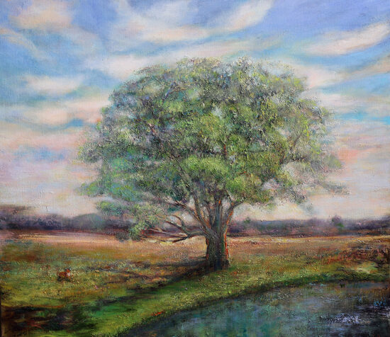 Rural Sunset and a Tree, Oil Painting on Canvas, 70 x 80cm