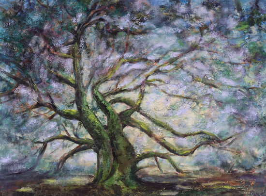 Vecs Osis, Eļļas Glezna uz Audekla, 60 x 80 cm