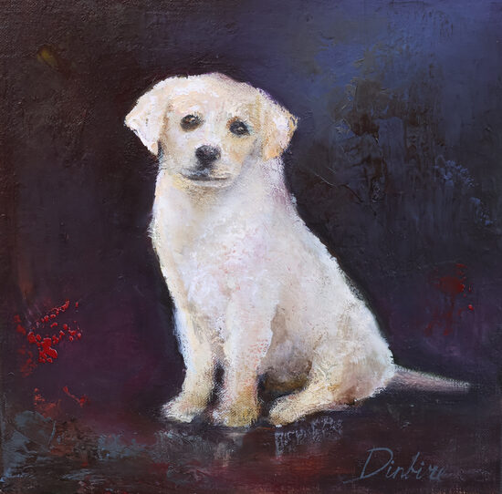 Retriever Puppy, Oil Painting on Canvas, 30 x 30 cm