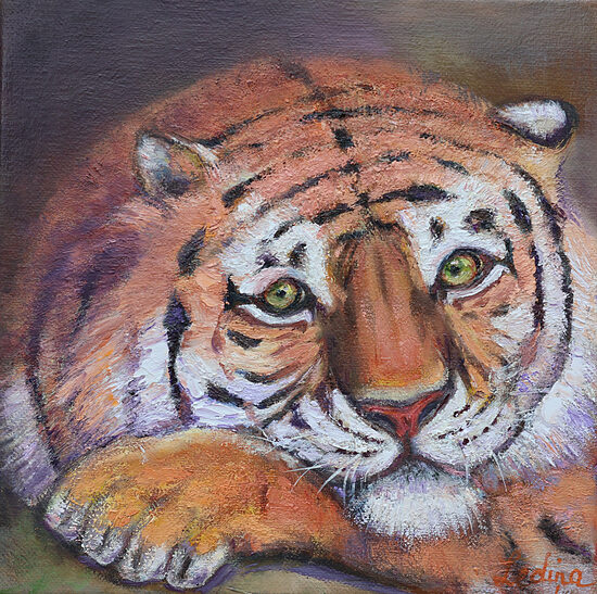 Tiger, Oil Painting on Canvas, 25 x 25 cm