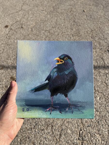 Black Starling Bird, Small Oil Painting, 20 x 20 cm