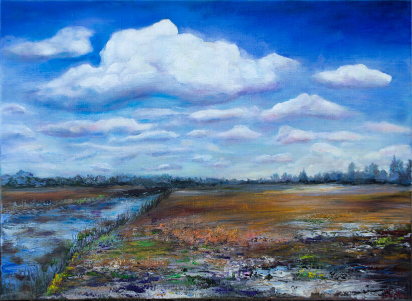 (SOLD) Swamp Field, Oil Painting on Canvas, Size: 50 X 70 cm, ships in a box