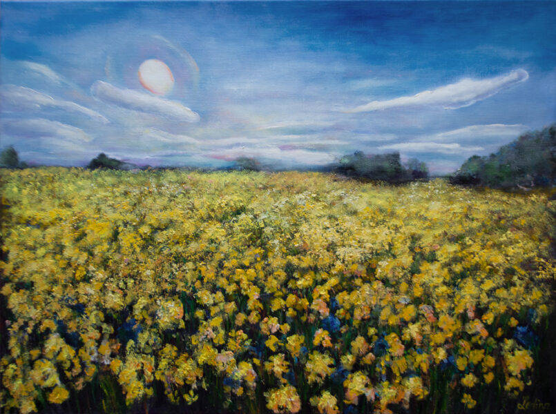 (SOLD) Yellow Field, Oil Painting on Canvas, 80 X 60cm
