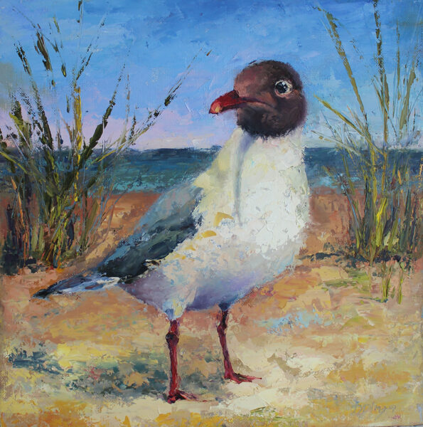 (SOLD) Seagull Bird, Oil Painting on Canvas, Size: 30 X 30 cm, ships in a box