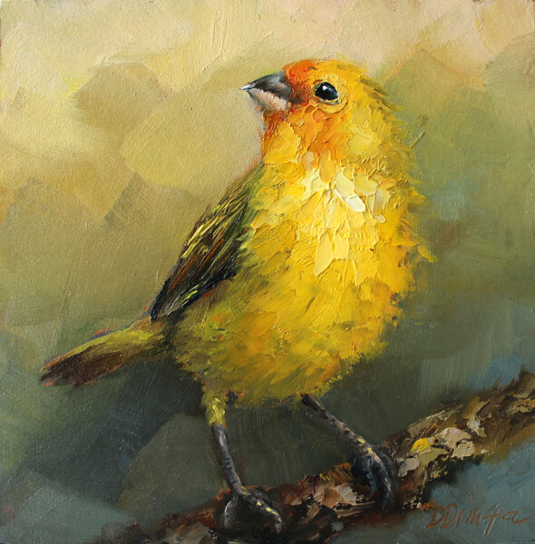 (SOLD) Saffron Finch bird original oil painting by Daiga Dimza Handmade Bird Wall art Fine gift for her Miniature artwork
