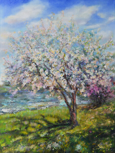 Blooming Apple Tree, Oil Painting on Canvas, 80 X 60cm
