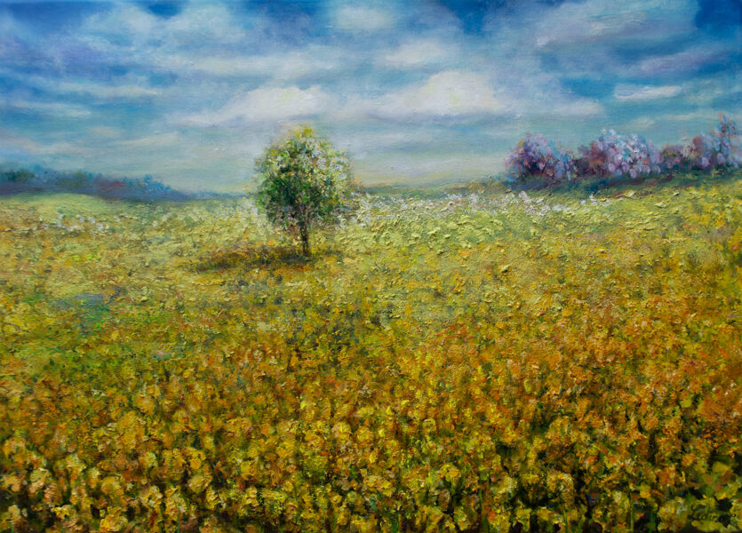 (SOLD) Yellow Field, Oil Painting on Canvas, 50 x 70 cm