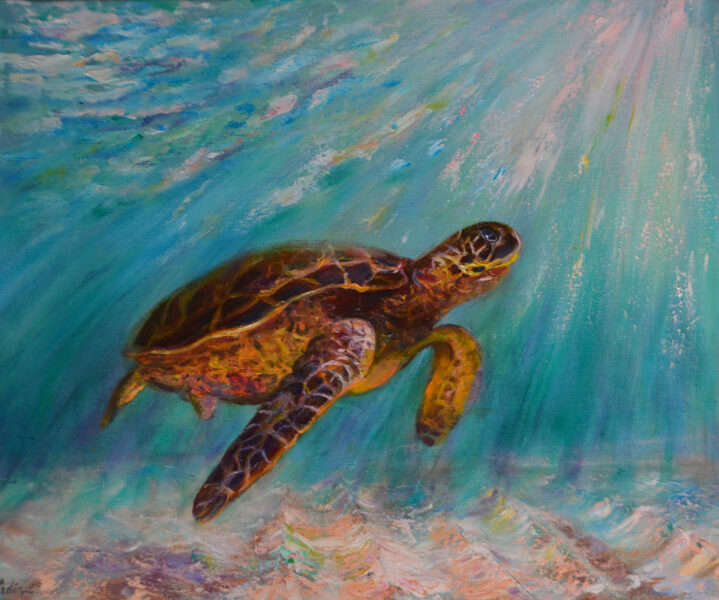 Turtle Under the Sun, Oil Painting on Canvas, 50 x 60 cm