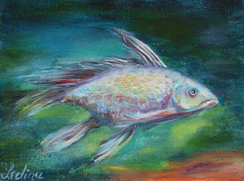 (SOLD) White Fish, Oil Painting on Canvas, 18 x 24 cm