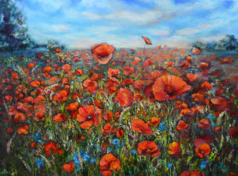 (SOLD) Poppy Field, Oil Painting on Canvas, 60 x 80 cm