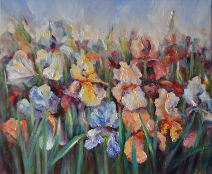 (SOLD) Beauty of Irises, Oil Painting on Canvas, 50 X 60 cm