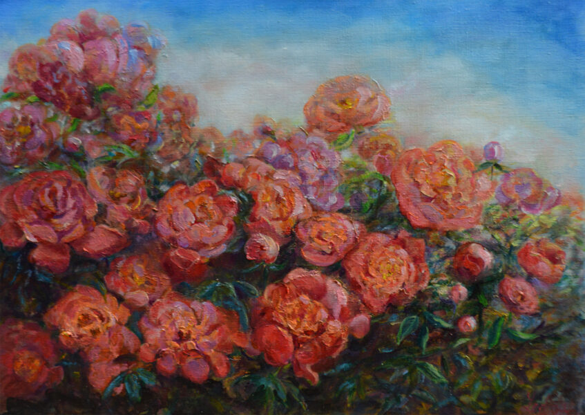 (SOLD) Pink Peony Shrubs, Oil Painting on Canvas, 50 x 70cm