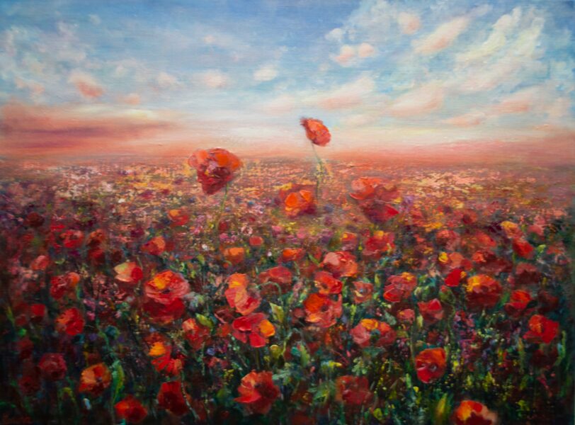 Poppy Field ,Oil Painting on Canvas, 60 x 80 cm