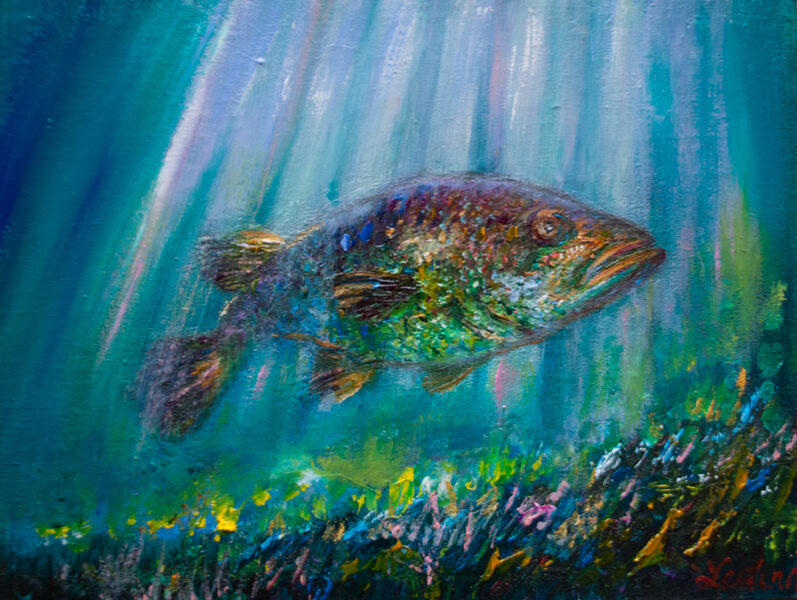 (SOLD) Grouper Fish, Oil Painting on Canvas, 18 x 24 cm