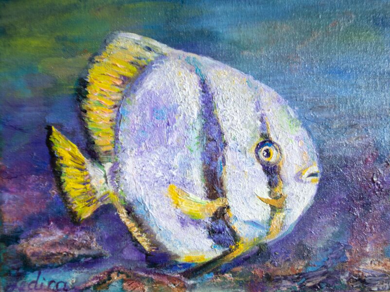 White Fish, Oil Painting, 18 x 24 cm