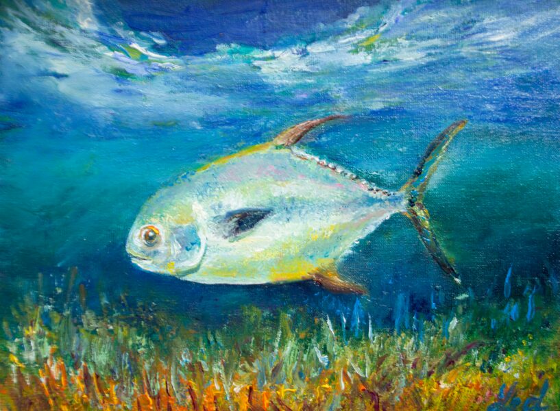 Permit Fish, Oil Paining On Canvas Cardboard, 18 x 24 cm
