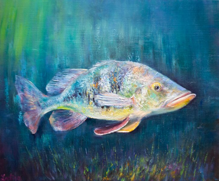 Bass Fish, Oil Painting on Canvas, 50 x 60 cm