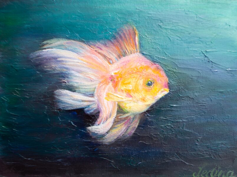 Gold Fish, Oil Painting on Canvas, 18 x 24 cm
