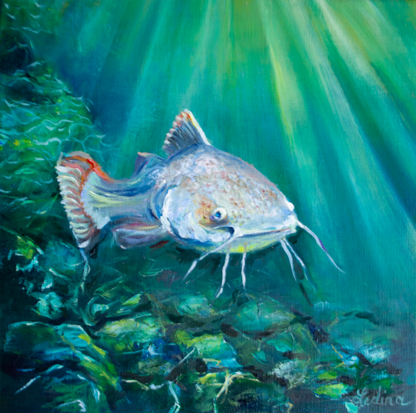 (SOLD) Catfish, Oil Painting on Canvas, 30 x 30 cm