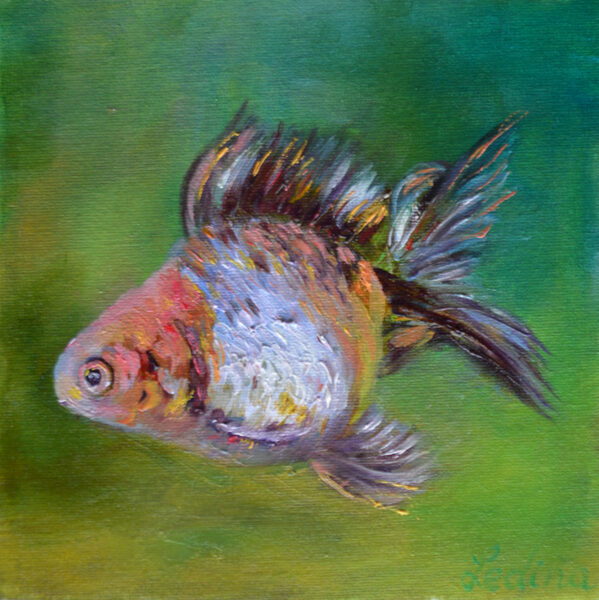 Colorful Fish, Oil Painting on Canvas, 20 x 20 cm