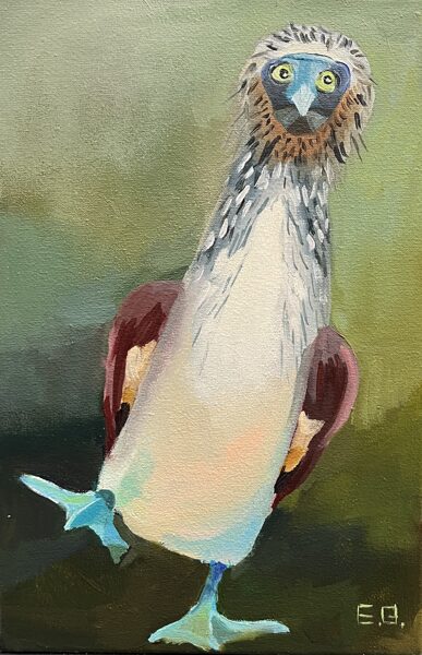 Blue Footed Bobby Bird, Oil Painting on Canvas, 20 x 30 cm