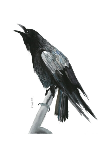 SOLD Crow, Original Watercolors on Paper, Size: 32,5 X 25 cm