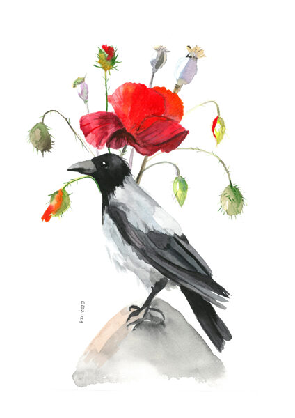 (Sold) Crow and a Poppy, Original Watercolors Painting on Paper, Size: 37,5 X 27,5 cm, ships in a box