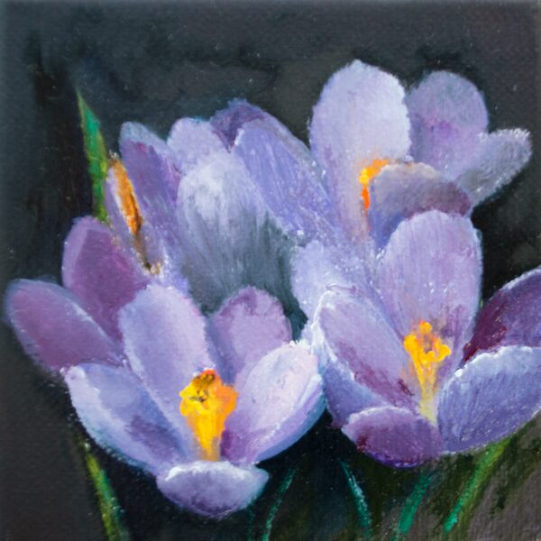 Crocus Flowers, Oil Painting on Canvas, 12 x 12 cm