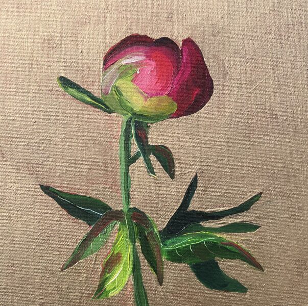 Pink peony bud on golden background
