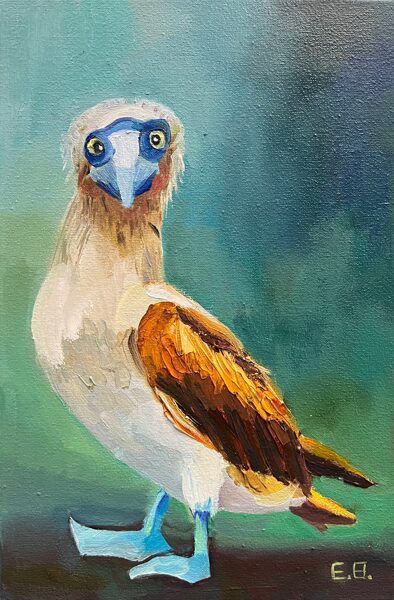 Blue Footed Bobby Bird, Oil Painting on Canvas, 20 x 30 cm