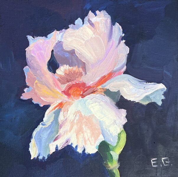 Iris Flowers, Oil Painting on Canvas, 20 x 20 cm