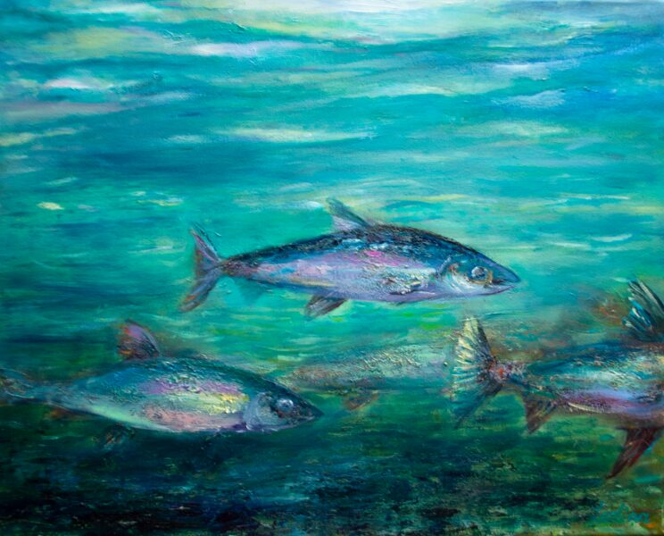 (SOLD) Sardines Fish, Oil Painting on Canvas, 40 x 50 cm